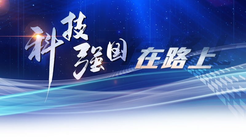 大型企业数字化转型的关键要素解析**