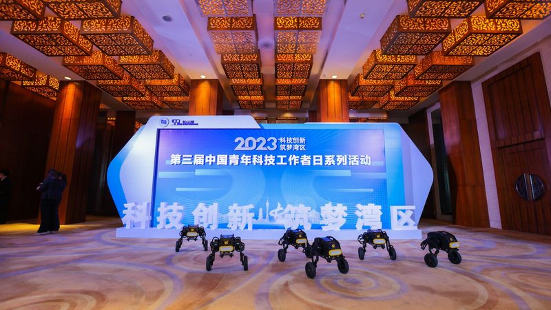 企业级搜索引擎数据库索引：构建高效检索的基石